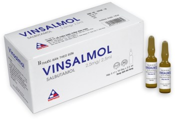 VINSALMOL 2,5mg2,5ml